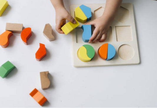 Real-Life Success Stories: How Montessori Toys Have Helped Children Thrive