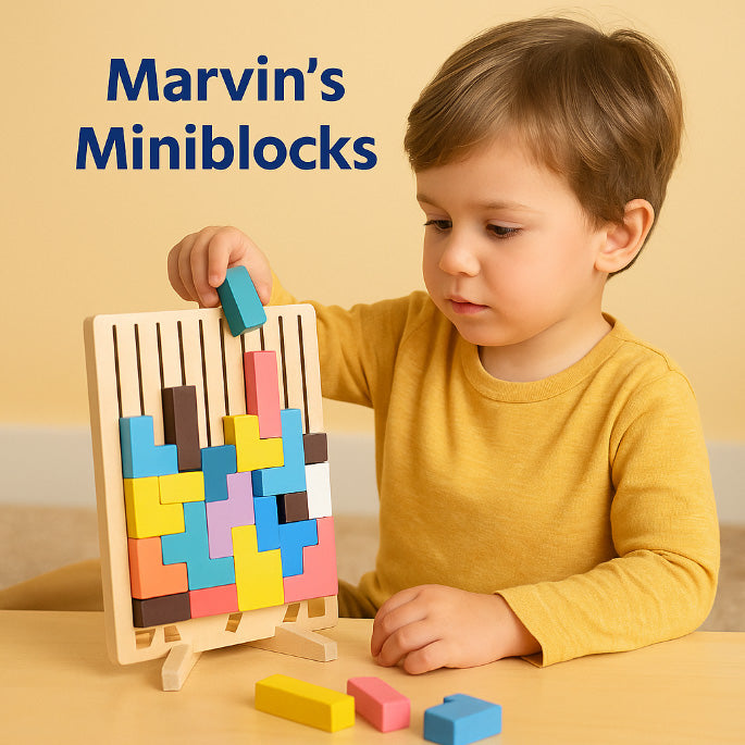 Wooden Stacking Puzzle Toy