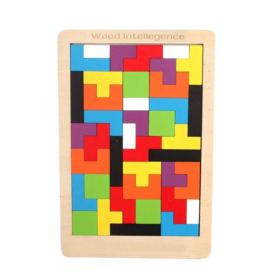 Wooden Intelligence Math Game