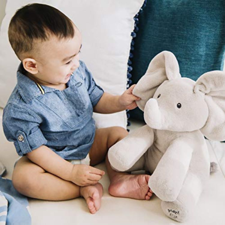 Baby Elephant