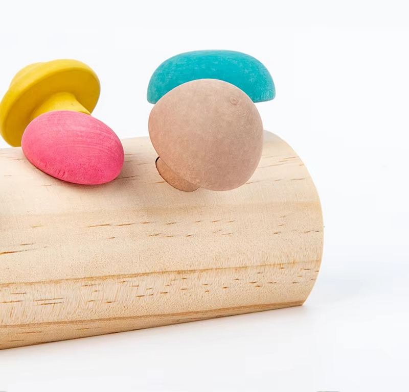 Montessori Wooden Mushroom Matching Blocks Toy