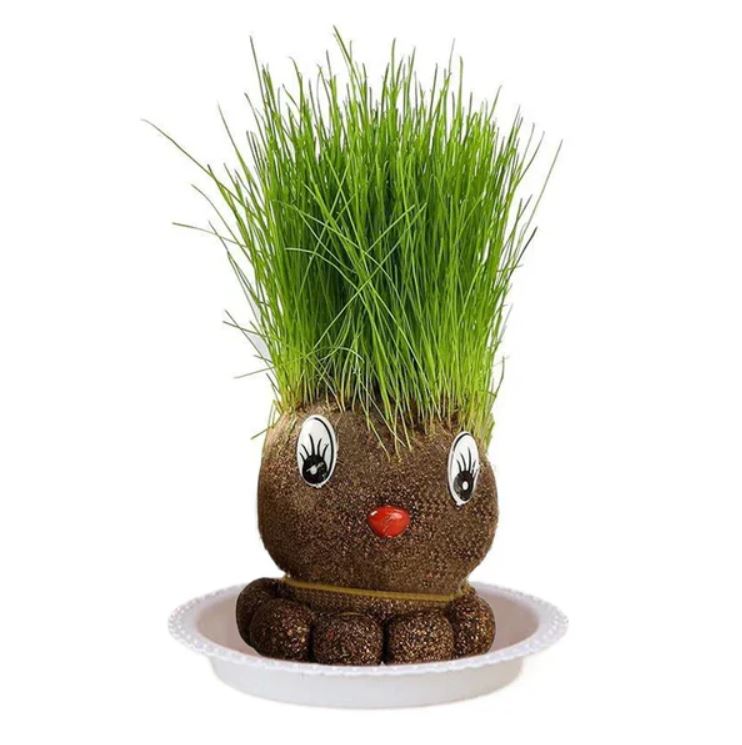 Flowering Houseplant Doll