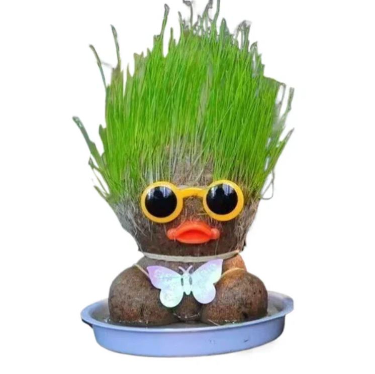 Flowering Houseplant Doll