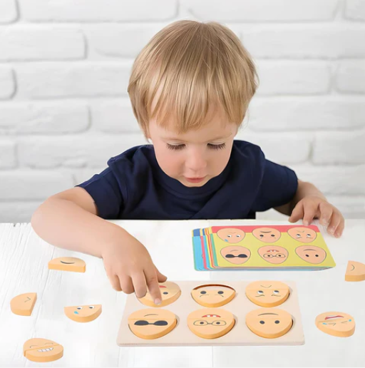Montessori Wooden Expressions Eggs