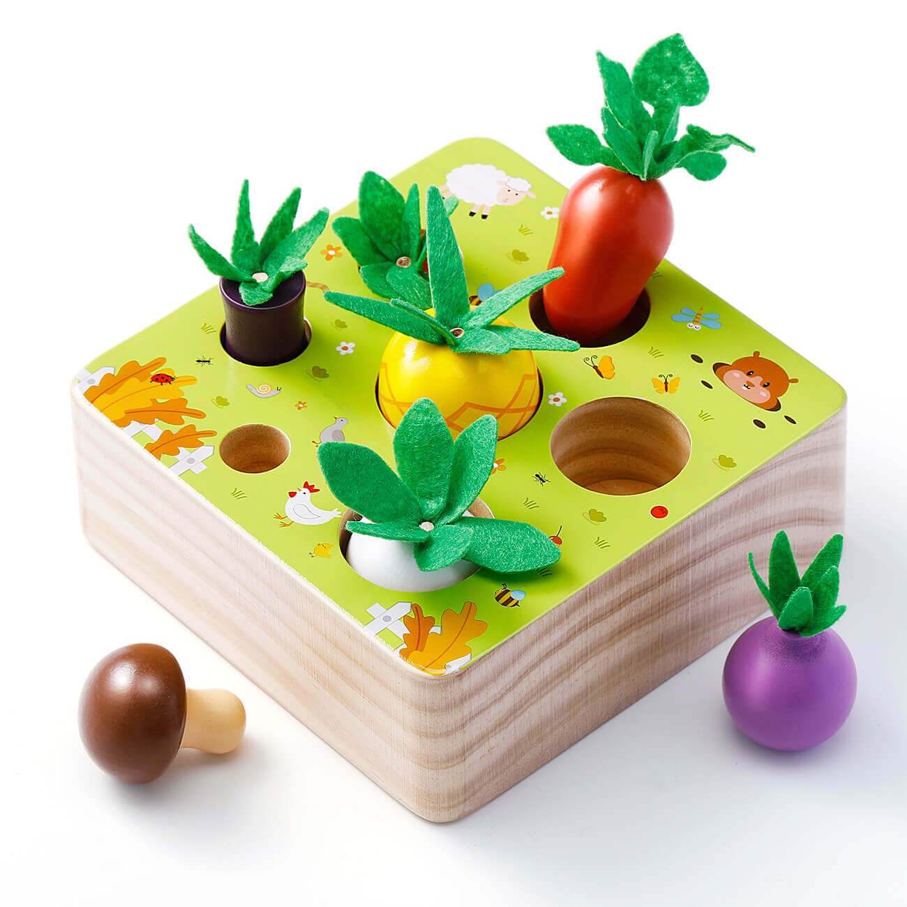 Montessori Vegetable Set