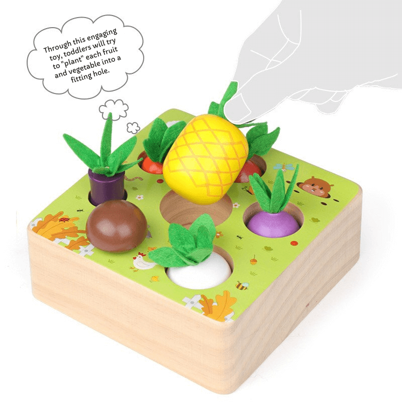 Montessori Vegetable Set