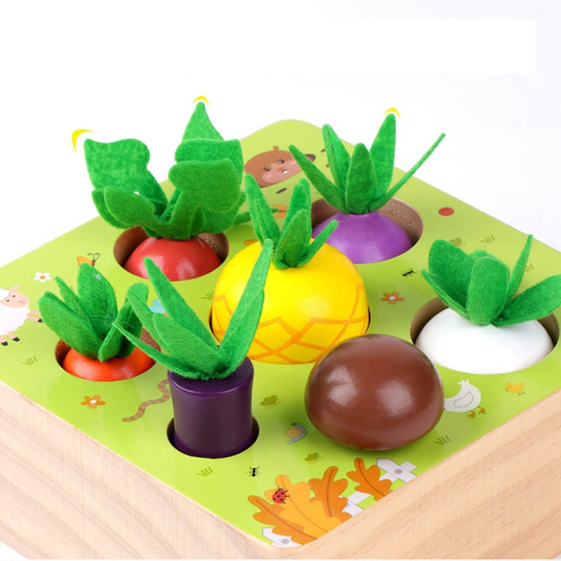 Montessori Vegetable Set