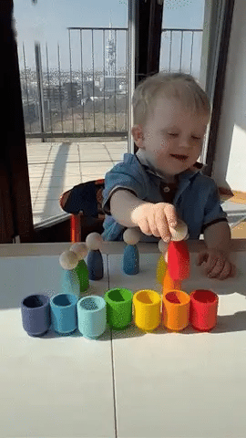 Montessori Toy easily recognize the main colors