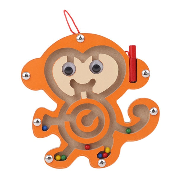 Montessori Magnetic Maze
