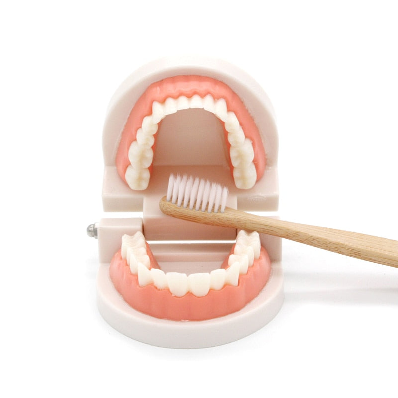 Montessori Brushing Teeth