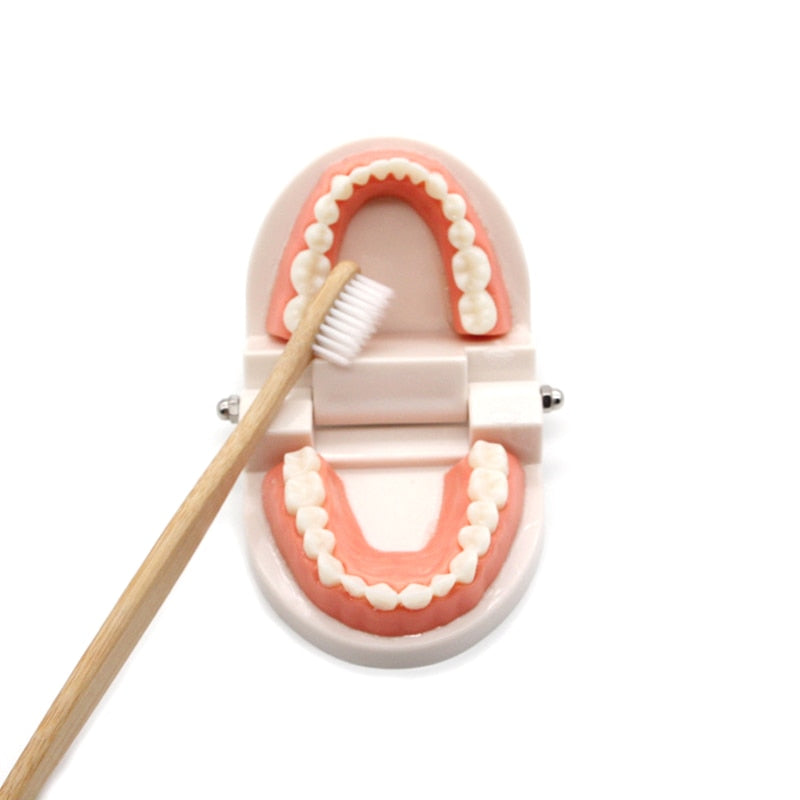 Montessori Brushing Teeth