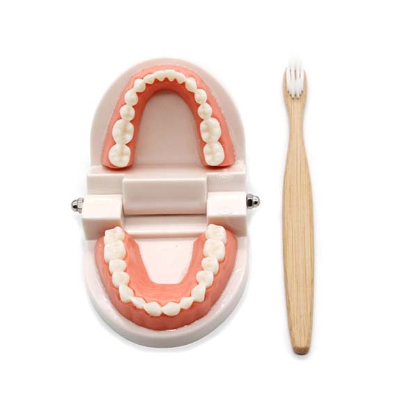 Montessori Brushing Teeth