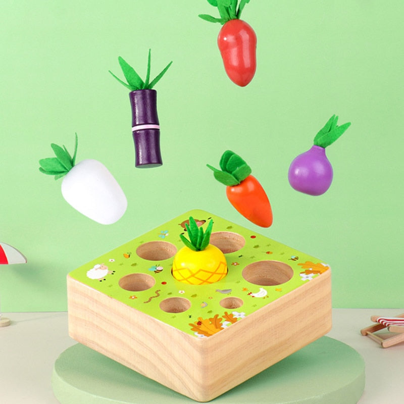 Montessori Vegetable Set