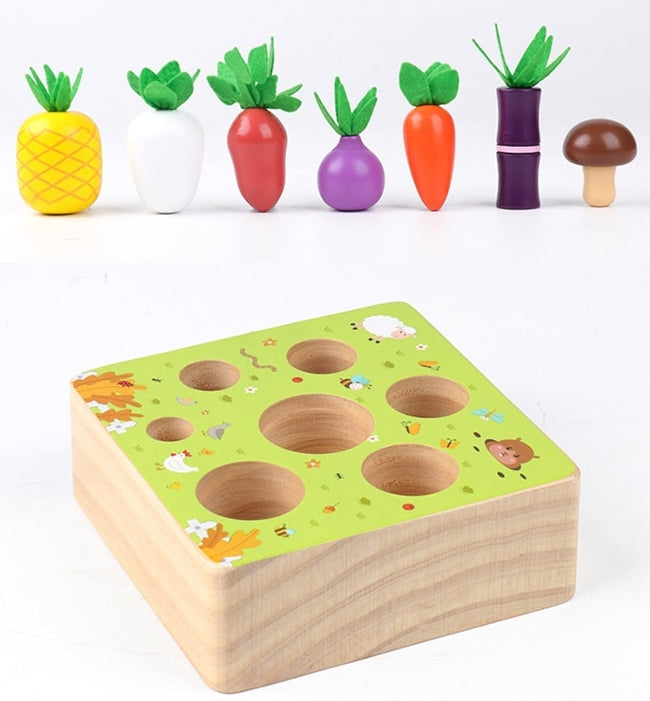 Montessori Vegetable Set
