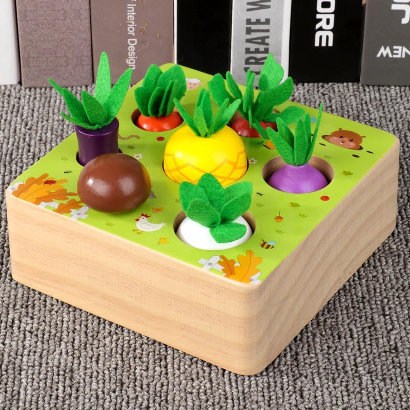 Montessori Vegetable Set