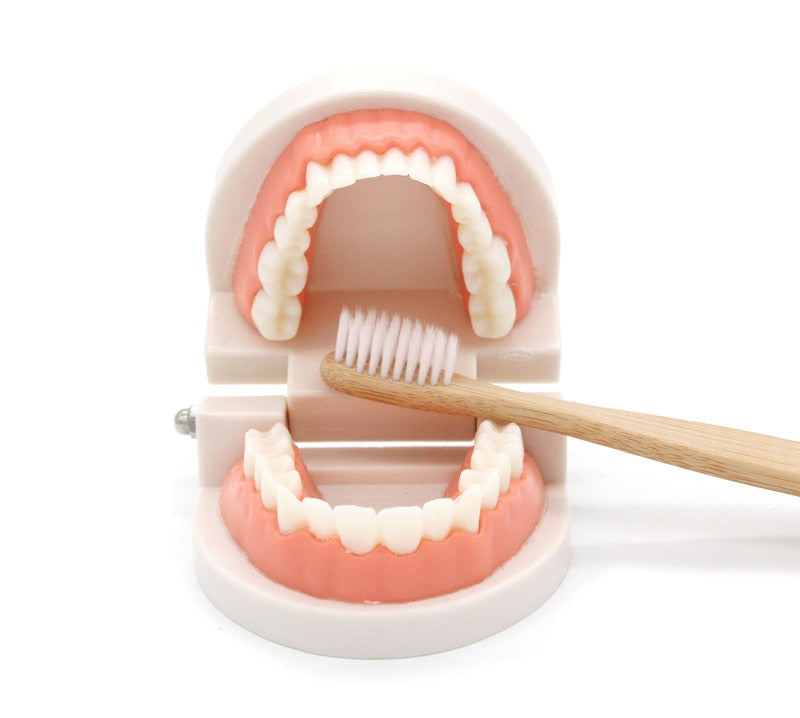Montessori Brushing Teeth