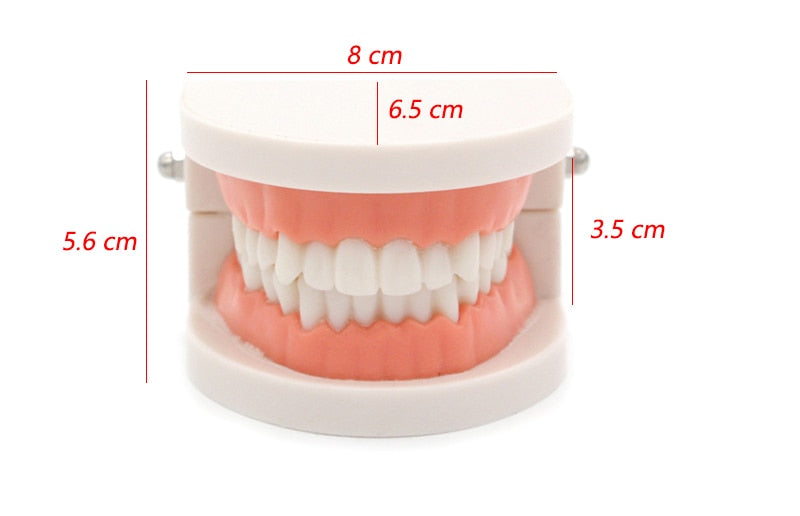 Montessori Brushing Teeth