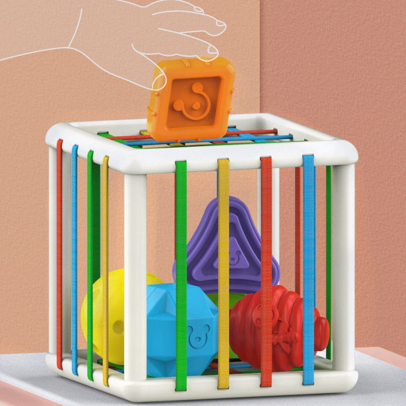 Montessori Shape Blocks