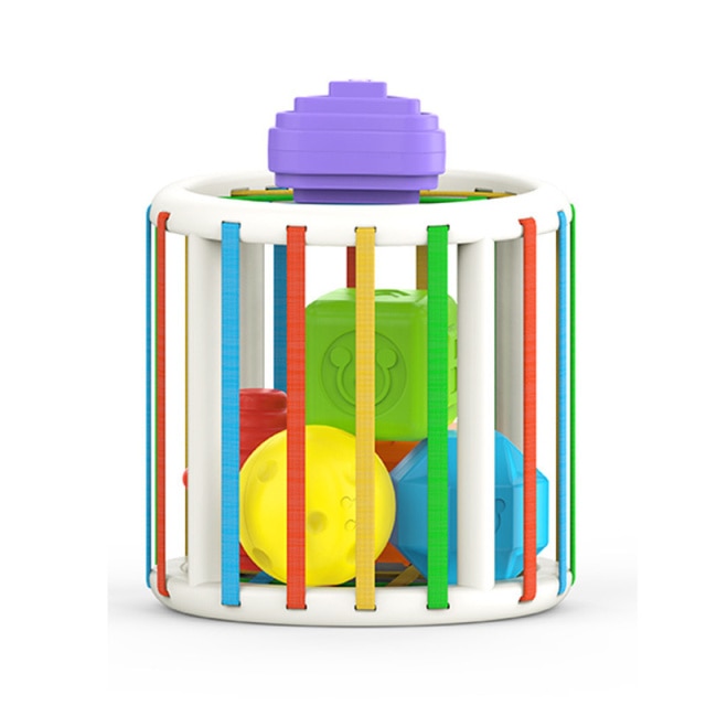 Montessori Shape Blocks