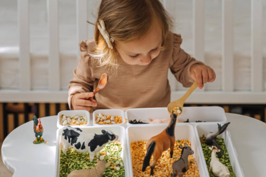 Bush Walks & Beach Finds: Creating a Nature-Inspired Montessori Sensory Basket