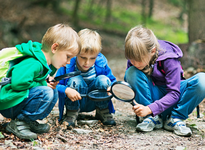 Unlocking Developmental Potential: Montessori Australia's Outdoor Learning Tools and the Crucial Role of Outdoor Play