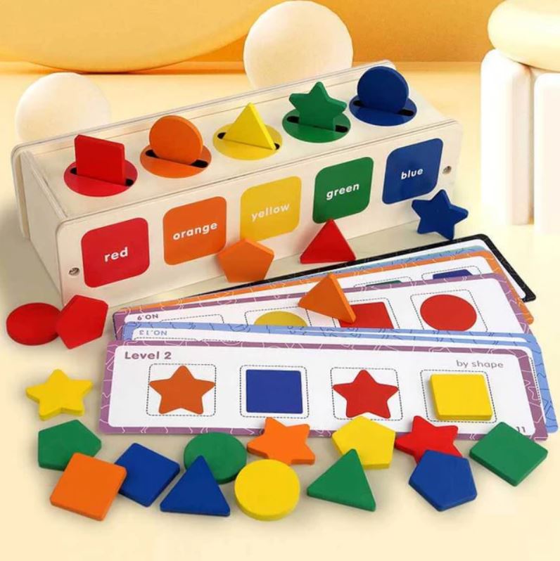 Wooden Color Shape Matching Box – Montessori Australia