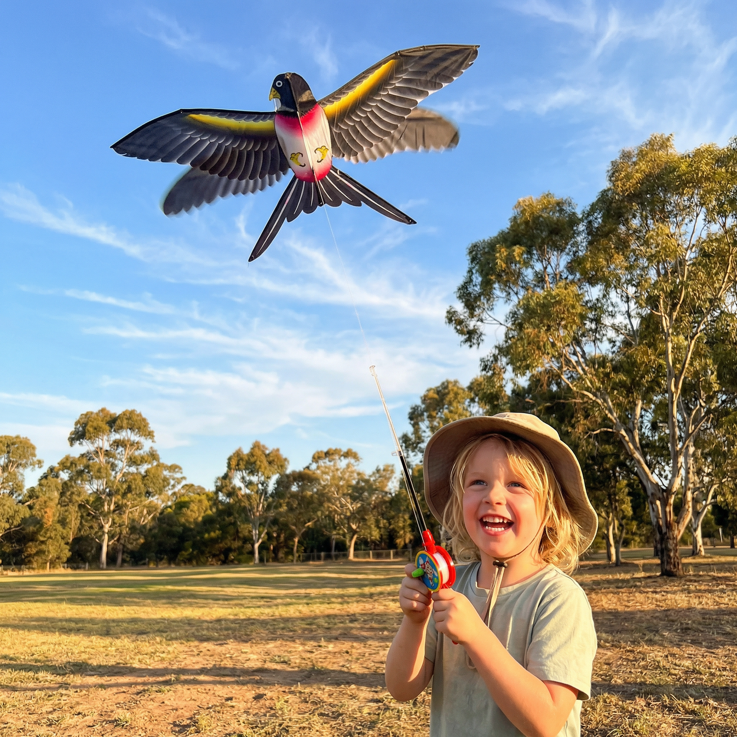 Flapping Wing Bird Kite for Kids