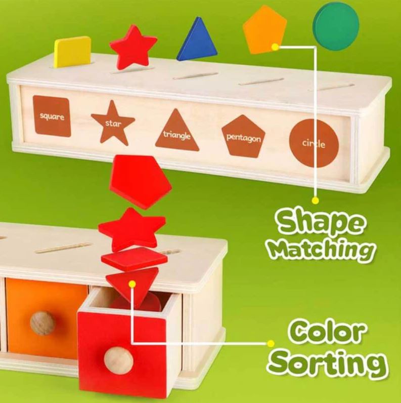 Wooden Color Shape Matching Box – Montessori Australia