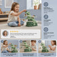 Dinosaur Slide Roller Coaster Toy for Kids