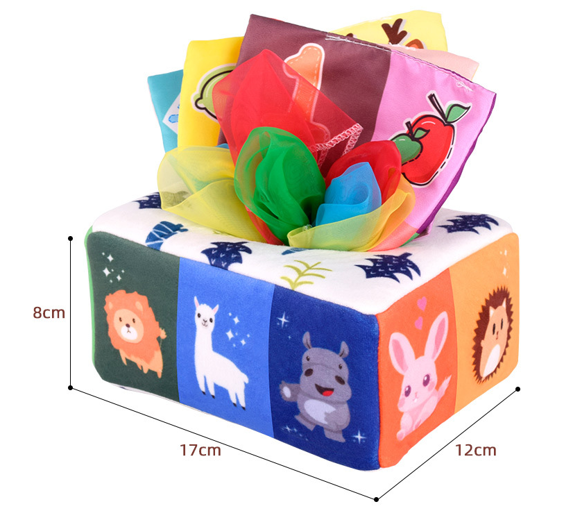 Montessori Baby Development Tissue Box