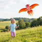 Kids Outdoor Flying Kite – Easy Launch Kite Toy for Children’s Outdoor Play