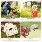 Bug Observation and Collection Kit
