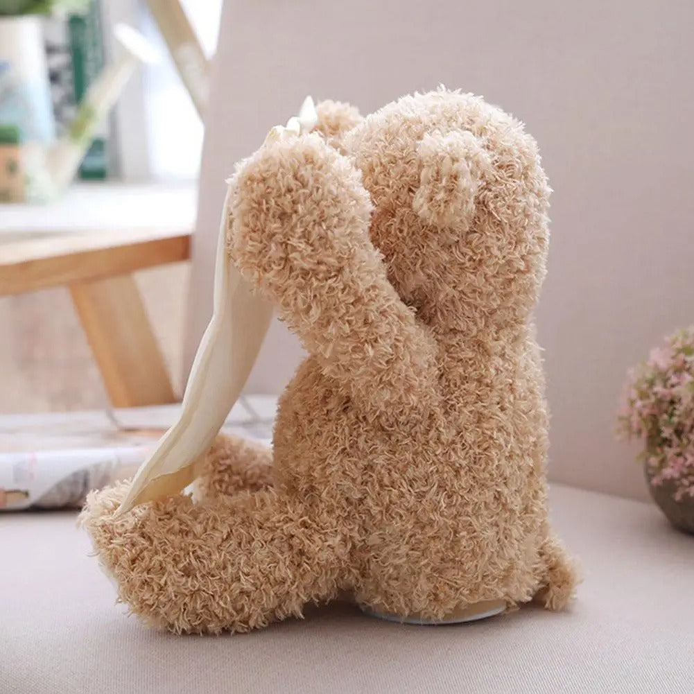 Peek-A-Boo-Teddy - Interactive Plush Toy – Montessori Australia