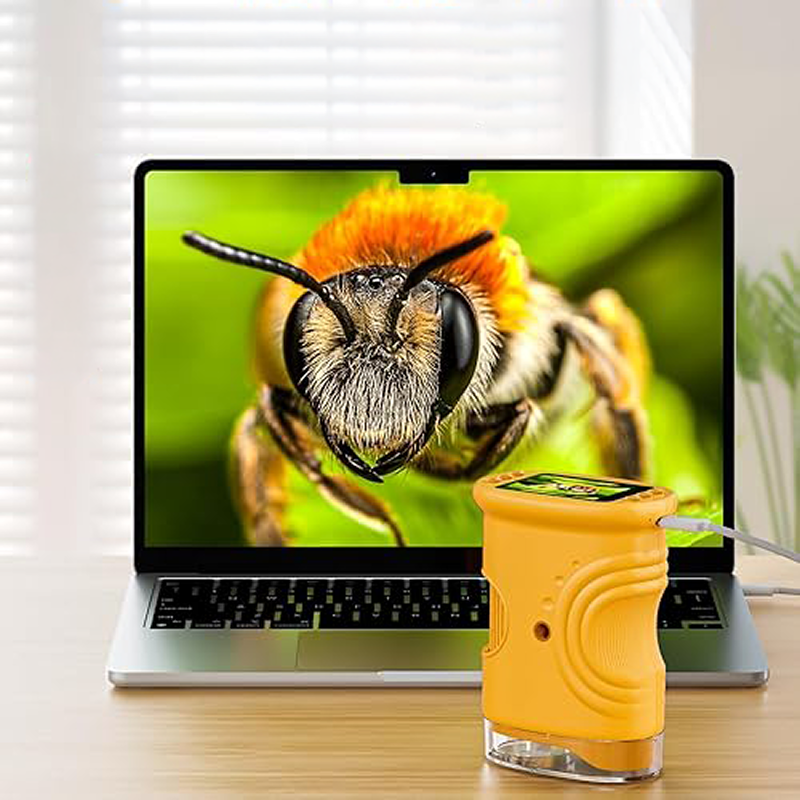 Digital Microscope for Kids with 1000x Magnification