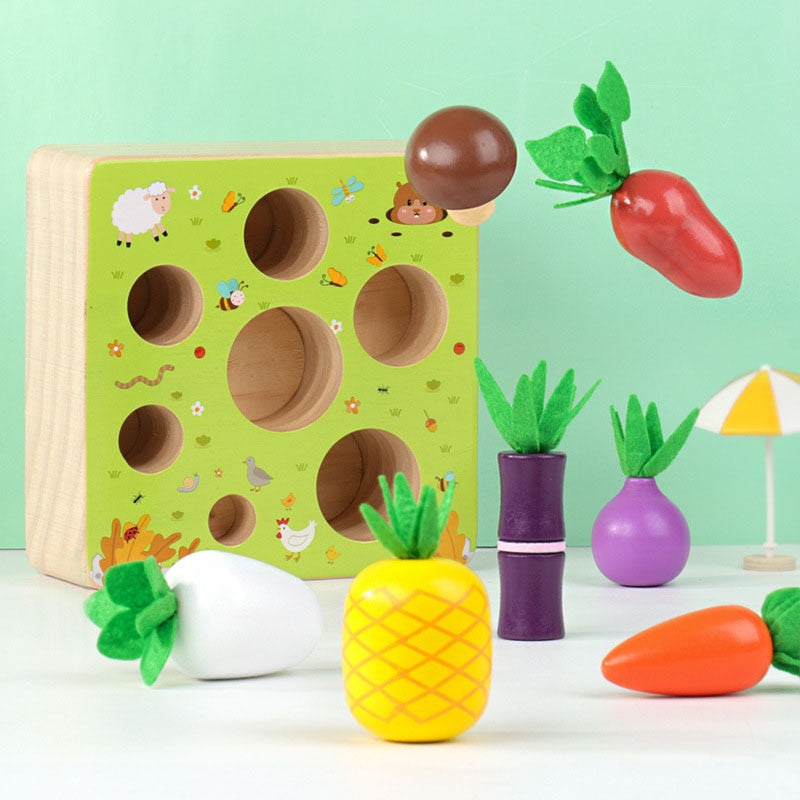 Montessori Vegetable Set