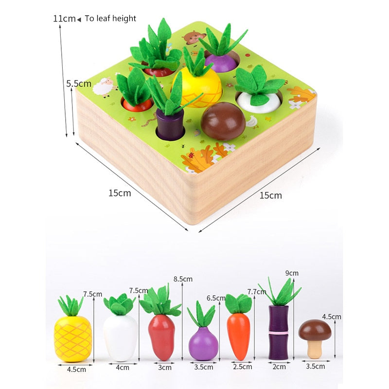 Montessori Vegetable Set
